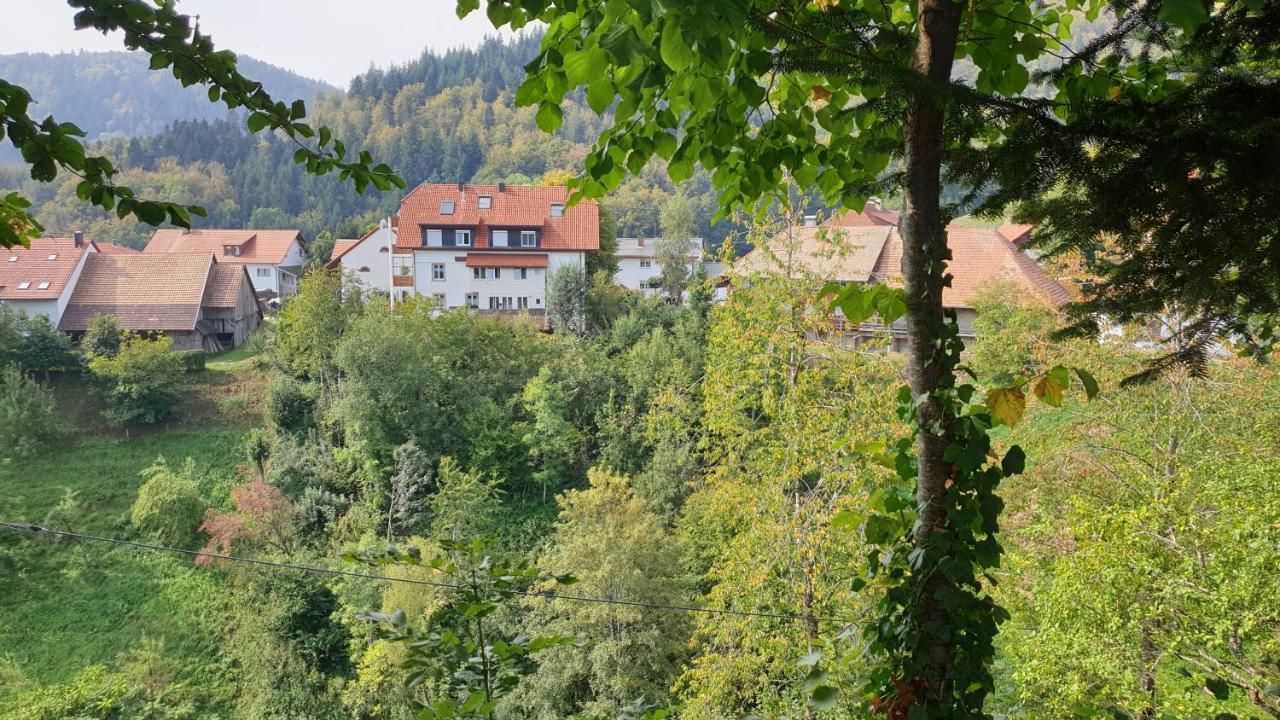 Ferienwohnung auf dem Bückle Kleines Wiesental Exterior foto