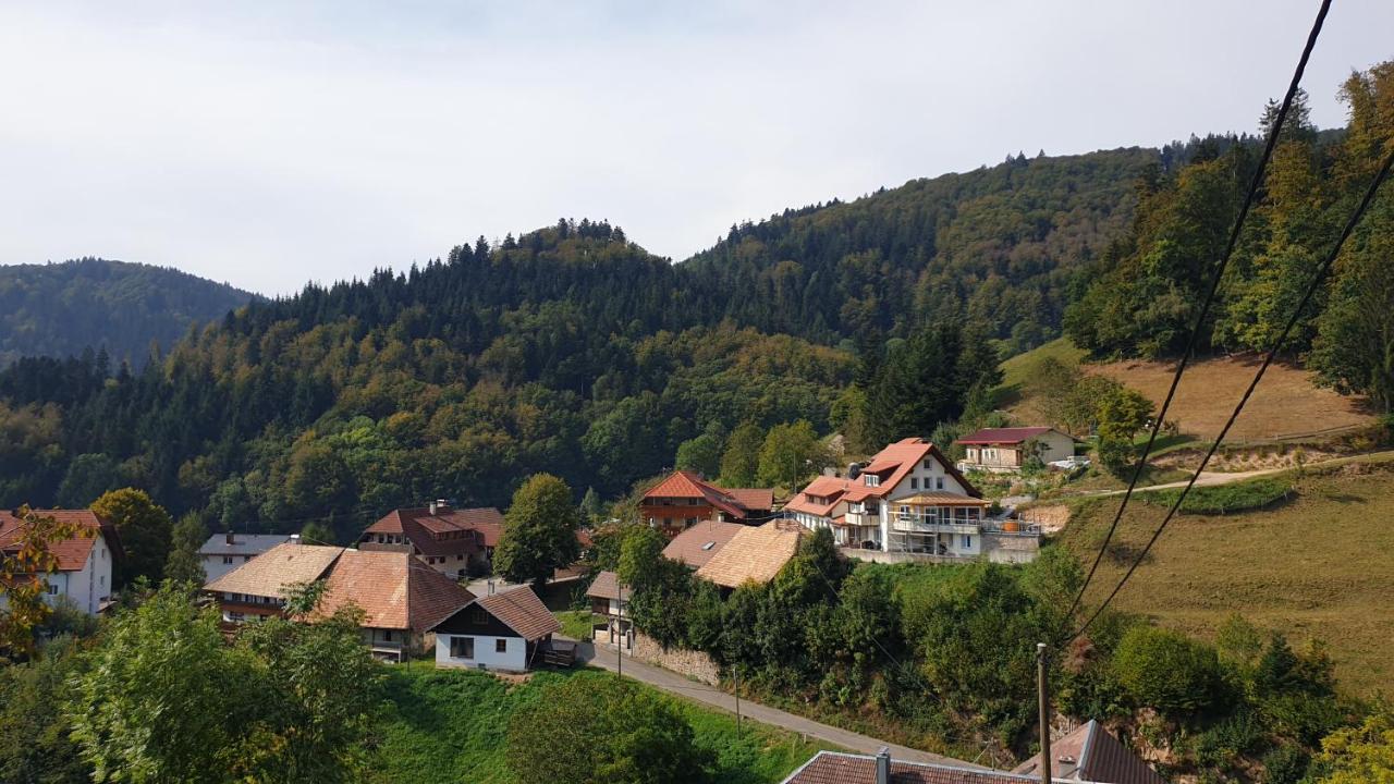 Ferienwohnung auf dem Bückle Kleines Wiesental Exterior foto