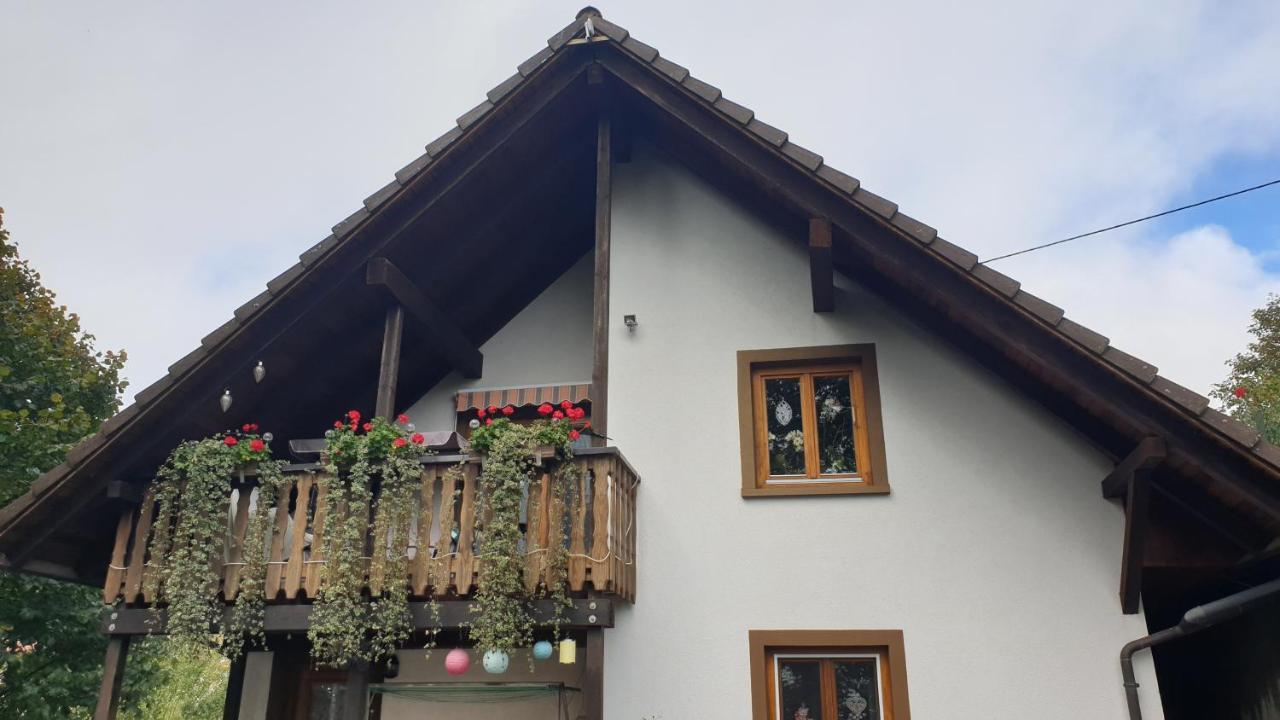 Ferienwohnung auf dem Bückle Kleines Wiesental Exterior foto